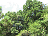 camp24 (527)_samu.gif